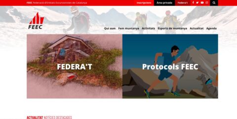 diseño de paginas web para la feec