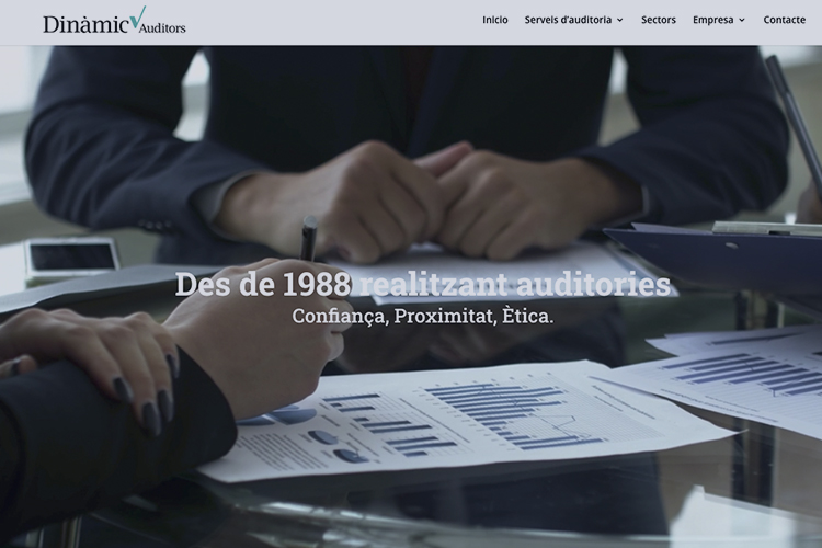 Dinamic Auditors