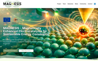 Magnesis